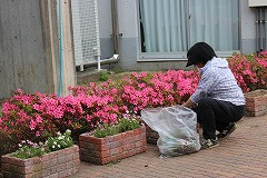 IMG_2938