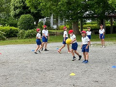 IMG_3231