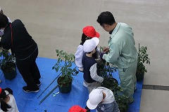 IMG_3137
