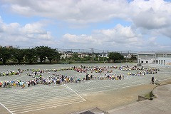 IMG_3776