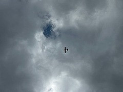 IMG_3600