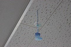 IMG_4037