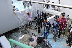 IMG_4478