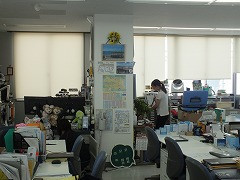 DSCF6973