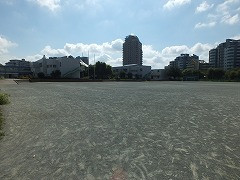 DSCF7031