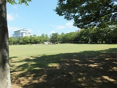 DSCF7041