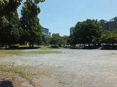 DSCF7044