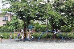 IMG_4496
