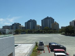 DSCF7132