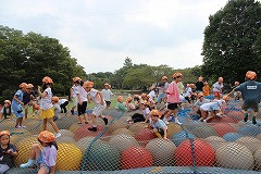 IMG_4764