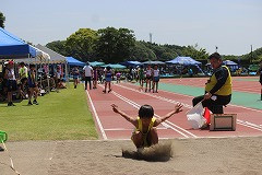 IMG_9931