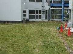 DSCF2672