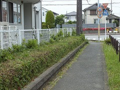 DSCF2696