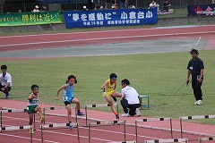 IMG_0508