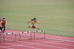 IMG_0554