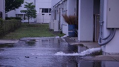 DSC00440
