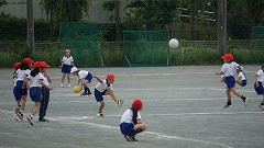DSC04686