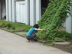DSCF6565