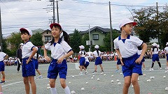 DSC00353