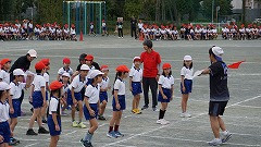 DSC00384