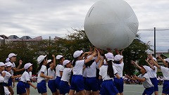 DSC00397